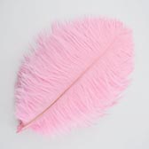 Strucctoll 15-20 cm - DAFNE #93